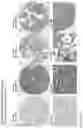 Fig. 190 - ANTI-VARIABLE MUC1* ANTIBODIES AND USES THEREOF
