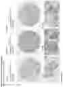 Fig. 193 - ANTI-VARIABLE MUC1* ANTIBODIES AND USES THEREOF