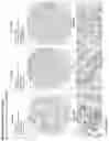 Fig. 195 - ANTI-VARIABLE MUC1* ANTIBODIES AND USES THEREOF