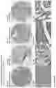 Fig. 197 - ANTI-VARIABLE MUC1* ANTIBODIES AND USES THEREOF