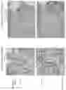 Fig. 20 - ANTI-VARIABLE MUC1* ANTIBODIES AND USES THEREOF