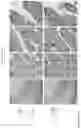 Fig. 21 - ANTI-VARIABLE MUC1* ANTIBODIES AND USES THEREOF