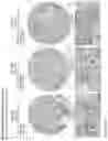 Fig. 211 - ANTI-VARIABLE MUC1* ANTIBODIES AND USES THEREOF