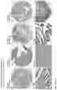 Fig. 222 - ANTI-VARIABLE MUC1* ANTIBODIES AND USES THEREOF