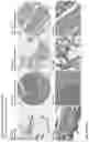 Fig. 223 - ANTI-VARIABLE MUC1* ANTIBODIES AND USES THEREOF