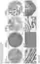 Fig. 228 - ANTI-VARIABLE MUC1* ANTIBODIES AND USES THEREOF