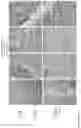Fig. 23 - ANTI-VARIABLE MUC1* ANTIBODIES AND USES THEREOF