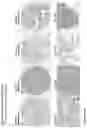Fig. 234 - ANTI-VARIABLE MUC1* ANTIBODIES AND USES THEREOF