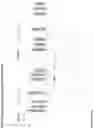 Fig. 244 - ANTI-VARIABLE MUC1* ANTIBODIES AND USES THEREOF