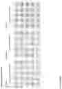 Fig. 245 - ANTI-VARIABLE MUC1* ANTIBODIES AND USES THEREOF