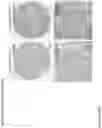 Fig. 250 - ANTI-VARIABLE MUC1* ANTIBODIES AND USES THEREOF
