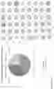 Fig. 31 - ANTI-VARIABLE MUC1* ANTIBODIES AND USES THEREOF