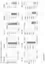 Fig. 87 - ANTI-VARIABLE MUC1* ANTIBODIES AND USES THEREOF