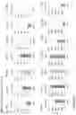 Fig. 88 - ANTI-VARIABLE MUC1* ANTIBODIES AND USES THEREOF