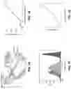 Fig. 02 - AUGMENTATION OF T-CELL ACTIVATION BY OSCILLATORY FORCES AND ENGINEERED ANTIGEN-PRESENTING CELLS