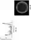 Fig. 05 - AUGMENTATION OF T-CELL ACTIVATION BY OSCILLATORY FORCES AND ENGINEERED ANTIGEN-PRESENTING CELLS