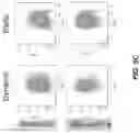 Fig. 12 - AUGMENTATION OF T-CELL ACTIVATION BY OSCILLATORY FORCES AND ENGINEERED ANTIGEN-PRESENTING CELLS