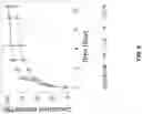 Fig. 21 - AUGMENTATION OF T-CELL ACTIVATION BY OSCILLATORY FORCES AND ENGINEERED ANTIGEN-PRESENTING CELLS