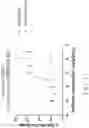 Fig. 31 - Genetically Engineered Cells and Uses Thereof