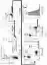 Fig. 33 - Genetically Engineered Cells and Uses Thereof