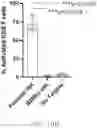 Fig. 37 - Genetically Engineered Cells and Uses Thereof