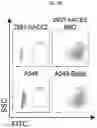 Fig. 09 - S309 chimeric antigen receptors and methods of use