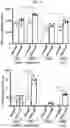 Fig. 10 - S309 chimeric antigen receptors and methods of use