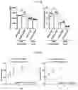 Fig. 16 - S309 chimeric antigen receptors and methods of use