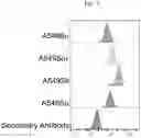 Fig. 19 - S309 chimeric antigen receptors and methods of use