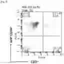 Fig. 03 - METHOD FOR PRODUCING CAR GENE-INTRODUCED NK CELLS AND USE THEREOF