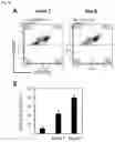 Fig. 08 - METHOD FOR PRODUCING CAR GENE-INTRODUCED NK CELLS AND USE THEREOF