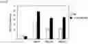 Fig. 09 - METHOD FOR PRODUCING CAR GENE-INTRODUCED NK CELLS AND USE THEREOF