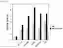 Fig. 10 - METHOD FOR PRODUCING CAR GENE-INTRODUCED NK CELLS AND USE THEREOF