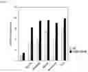 Fig. 11 - METHOD FOR PRODUCING CAR GENE-INTRODUCED NK CELLS AND USE THEREOF