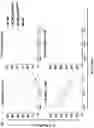 Fig. 04 - Compositions and Methods Comprising a High Affinity Chimeric Antigen Receptor (CAR) with Cross-Reactivity to Clinically-Relevant EGFR Mutated Proteins