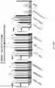 Fig. 22 - Compositions and Methods Comprising a High Affinity Chimeric Antigen Receptor (CAR) with Cross-Reactivity to Clinically-Relevant EGFR Mutated Proteins