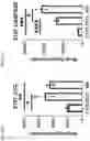 Fig. 27 - Compositions and Methods Comprising a High Affinity Chimeric Antigen Receptor (CAR) with Cross-Reactivity to Clinically-Relevant EGFR Mutated Proteins