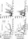 Fig. 02 - CELLS EXPRESSING A RECOMBINANT RECEPTOR FROM A MODIFIED TGFBR2 LOCUS, RELATED POLYNUCLEOTIDES AND METHODS
