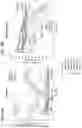 Fig. 07 - CELLS EXPRESSING A RECOMBINANT RECEPTOR FROM A MODIFIED TGFBR2 LOCUS, RELATED POLYNUCLEOTIDES AND METHODS
