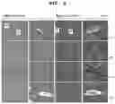 Fig. 07 - PHARMACEUTICAL COMPOSITION FOR PREVENTING OR TREATING LIVER DISEASE,  COMPRISING BIOIMPLANT COMPRISING MESENCHYMAL STEM CELLS