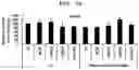 Fig. 11 - PHARMACEUTICAL COMPOSITION FOR PREVENTING OR TREATING LIVER DISEASE,  COMPRISING BIOIMPLANT COMPRISING MESENCHYMAL STEM CELLS