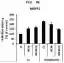 Fig. 16 - PHARMACEUTICAL COMPOSITION FOR PREVENTING OR TREATING LIVER DISEASE,  COMPRISING BIOIMPLANT COMPRISING MESENCHYMAL STEM CELLS