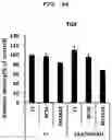 Fig. 18 - PHARMACEUTICAL COMPOSITION FOR PREVENTING OR TREATING LIVER DISEASE,  COMPRISING BIOIMPLANT COMPRISING MESENCHYMAL STEM CELLS