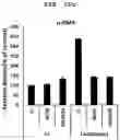 Fig. 21 - PHARMACEUTICAL COMPOSITION FOR PREVENTING OR TREATING LIVER DISEASE,  COMPRISING BIOIMPLANT COMPRISING MESENCHYMAL STEM CELLS