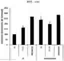Fig. 24 - PHARMACEUTICAL COMPOSITION FOR PREVENTING OR TREATING LIVER DISEASE,  COMPRISING BIOIMPLANT COMPRISING MESENCHYMAL STEM CELLS