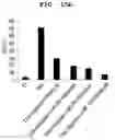 Fig. 29 - PHARMACEUTICAL COMPOSITION FOR PREVENTING OR TREATING LIVER DISEASE,  COMPRISING BIOIMPLANT COMPRISING MESENCHYMAL STEM CELLS