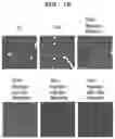 Fig. 34 - PHARMACEUTICAL COMPOSITION FOR PREVENTING OR TREATING LIVER DISEASE,  COMPRISING BIOIMPLANT COMPRISING MESENCHYMAL STEM CELLS