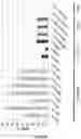 Fig. 02 - Correction of Beta-Thalassemia Phenotype by Genetically Engineered Hematopoietic Stem Cell
