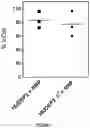 Fig. 03 - Correction of Beta-Thalassemia Phenotype by Genetically Engineered Hematopoietic Stem Cell
