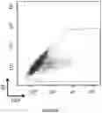 Fig. 06 - Correction of Beta-Thalassemia Phenotype by Genetically Engineered Hematopoietic Stem Cell